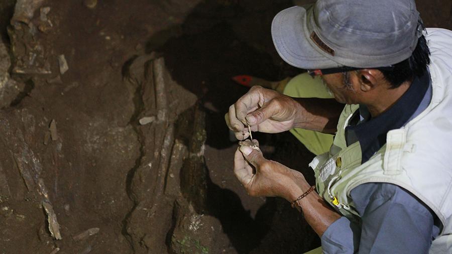В Индонезии найдены наскальные рисунки возрастом 40 тыс. лет