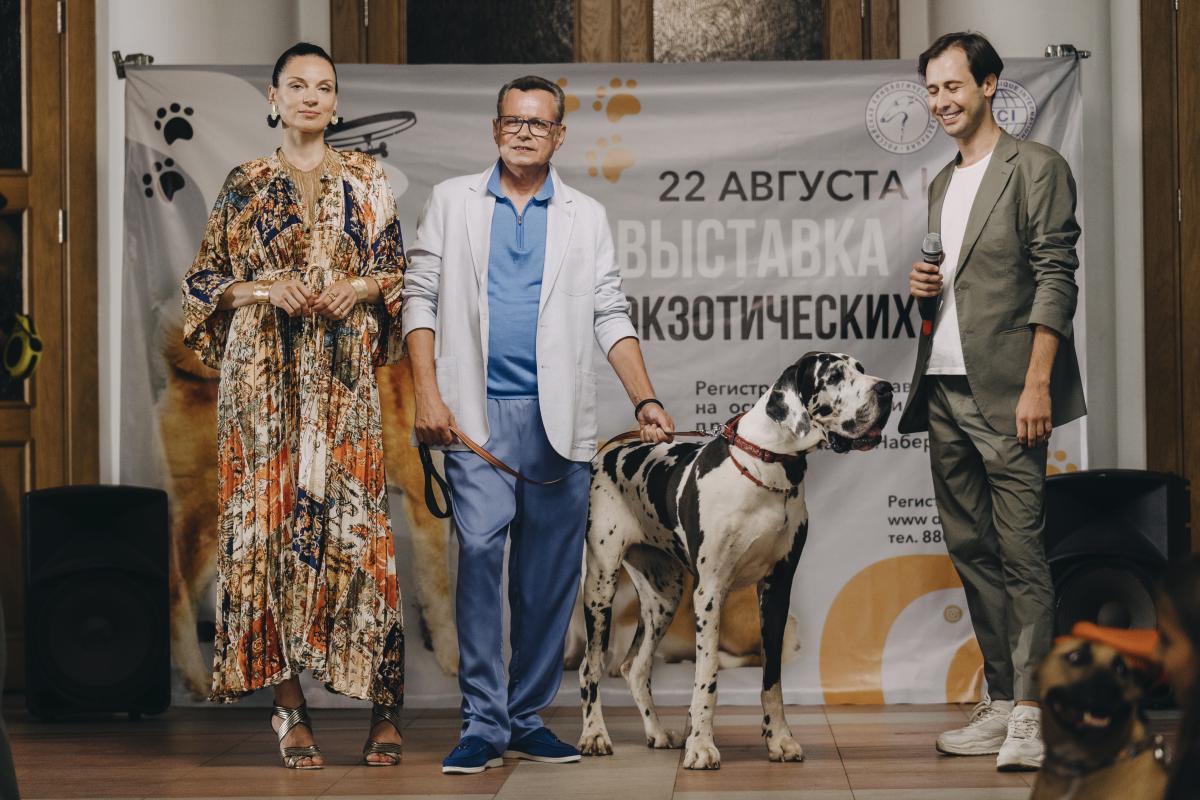 СТС покажет сериал «Домохозяин» с участием Владимира Лёвкина