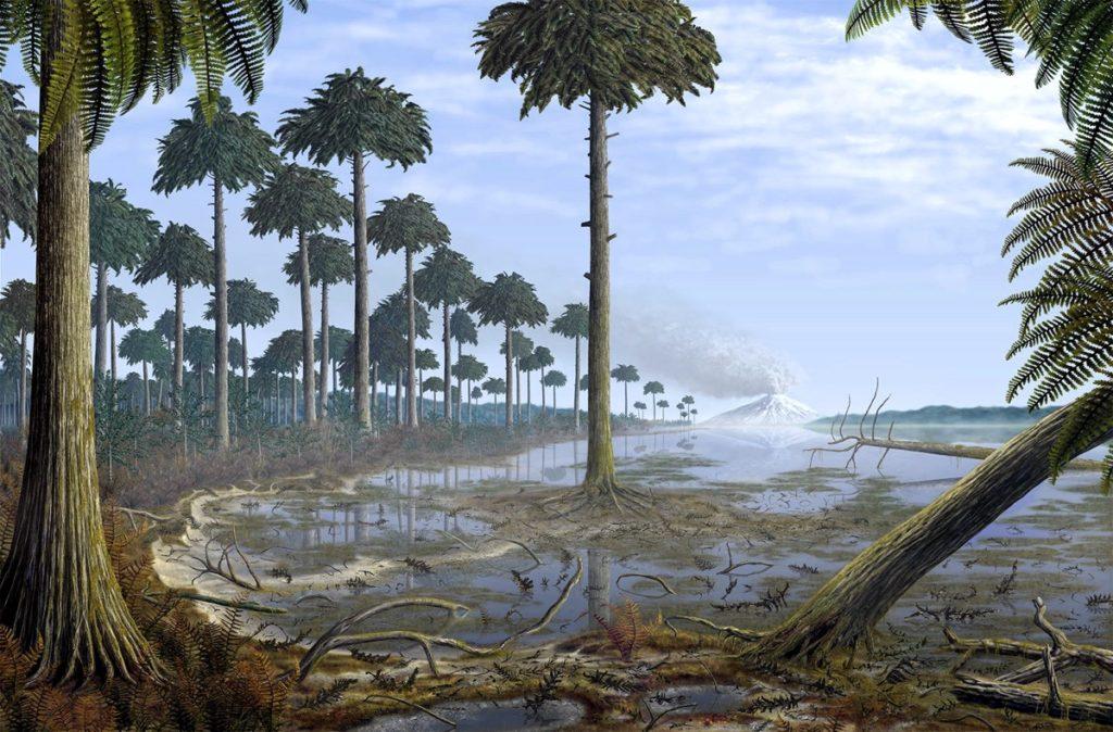 Обнаружены останки древнейших лесов на планете