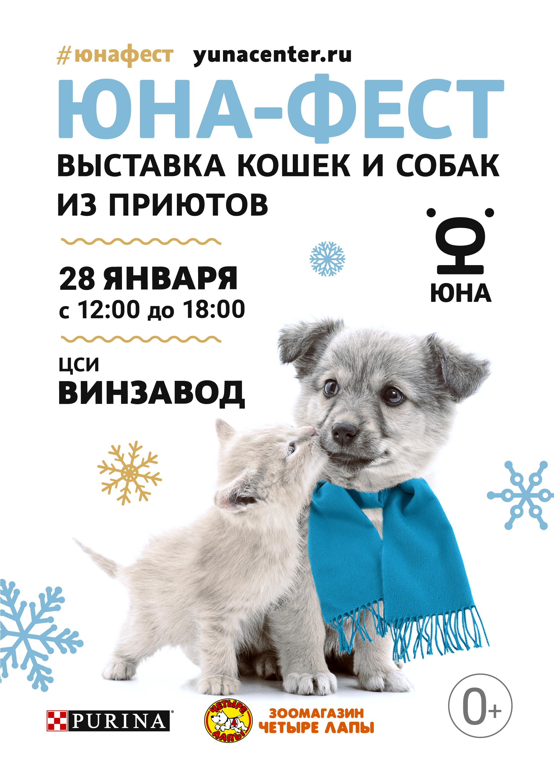 Выставка кошек и собак из приютов «Юна-Фест» на территории ЦСИ «Винзавод»