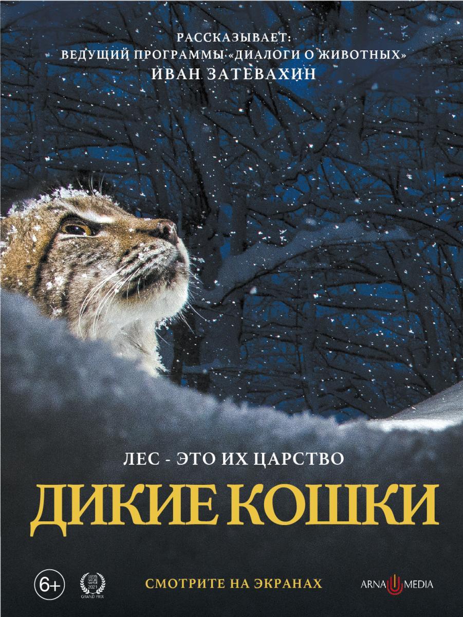 Документальный фильм «Дикие кошки»